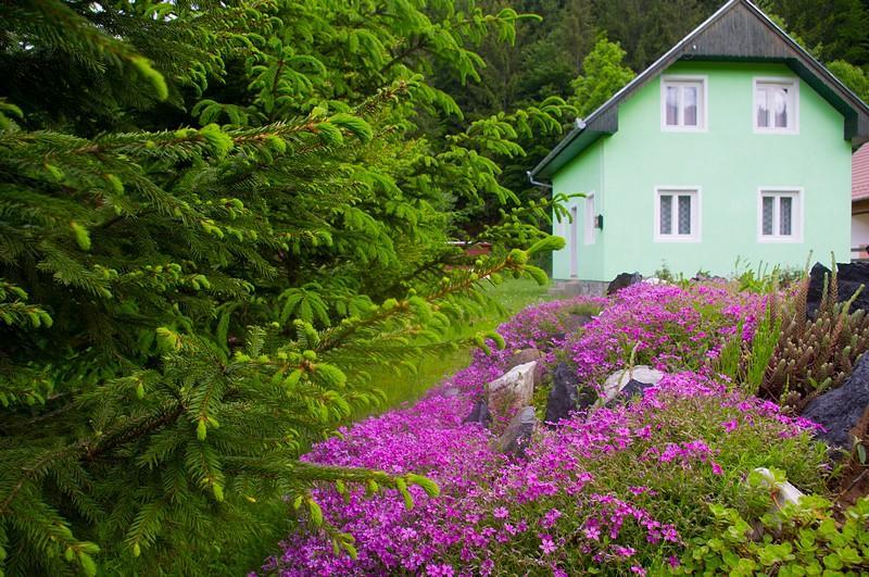 Villa Pataki Kulcsoshaz à Izvoare  Extérieur photo